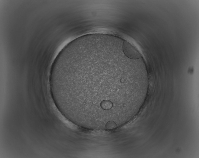 X0000092251091200710051254