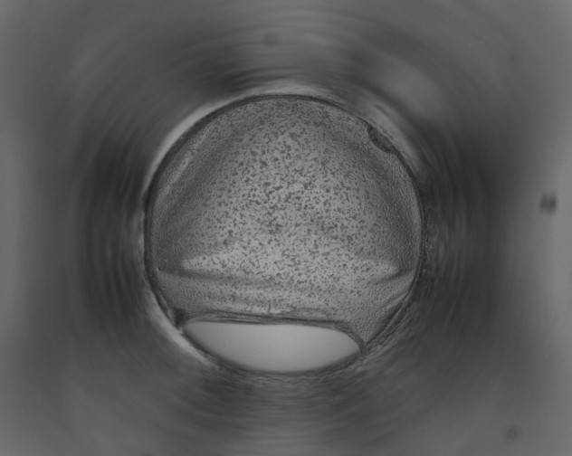 X0000092251092200710051254