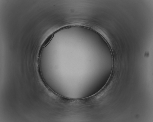 X0000092251093200710051254