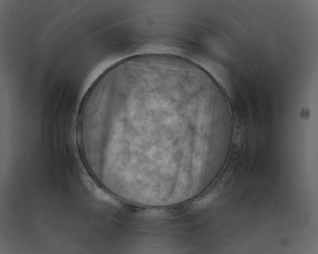 X0000092251094200710051254