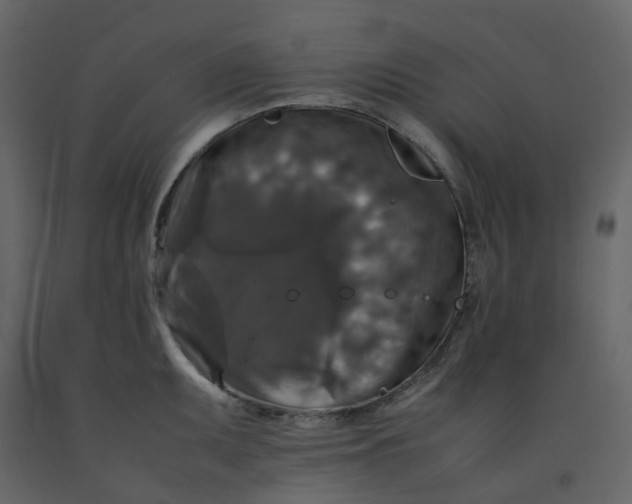 X0000092251095200710051254