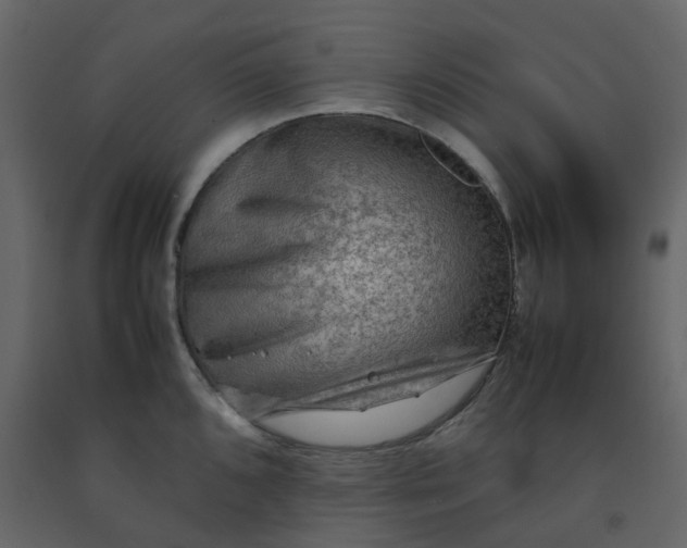 X0000092251096200710051254