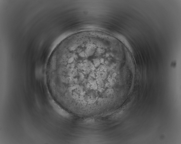 X0000092251098200710051254