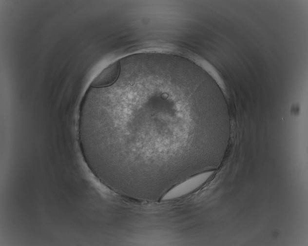 X0000092251099200710051254