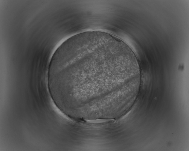 X0000092251100200710051254