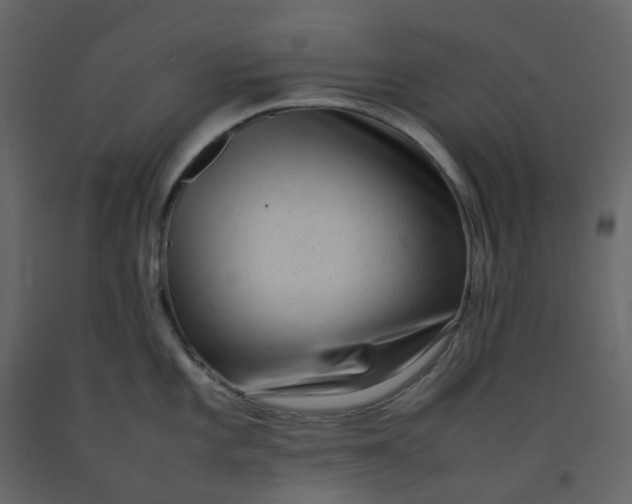 X0000092251101200710051254