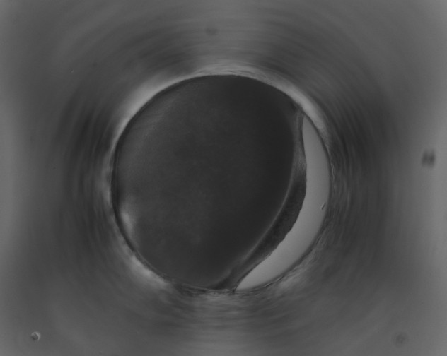 X0000092251102200710051254