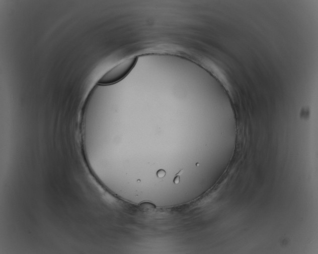 X0000092251103200710051254