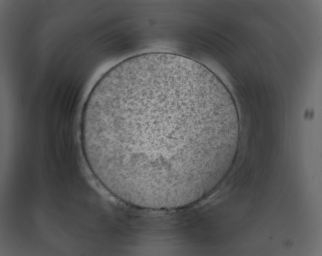 X0000092251104200710051254