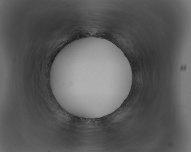 X0000092251105200710051253