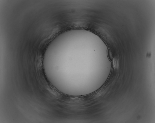 X0000092251107200710051253