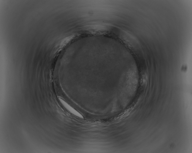 X0000092251108200710051253