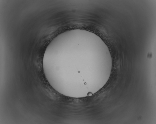 X0000092251109200710051253