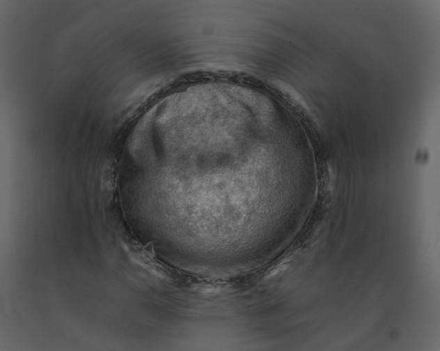 X0000092251110200710051253