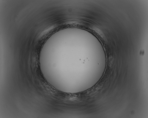 X0000092251111200710051253