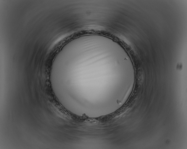 X0000092251112200710051253