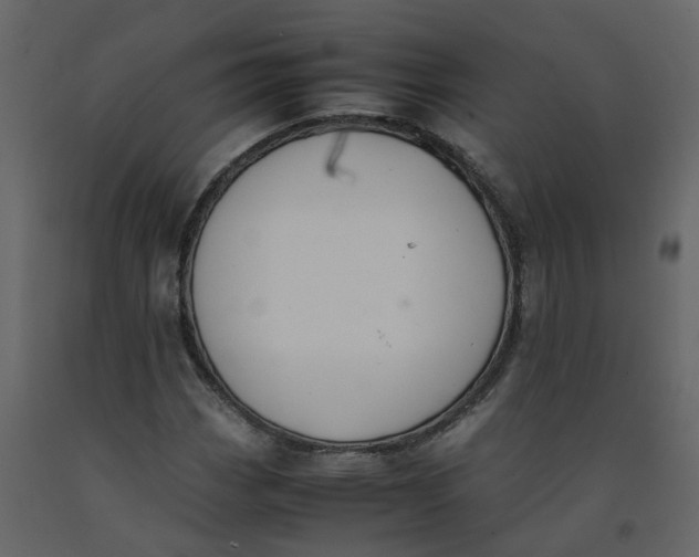 X0000092251113200710051253