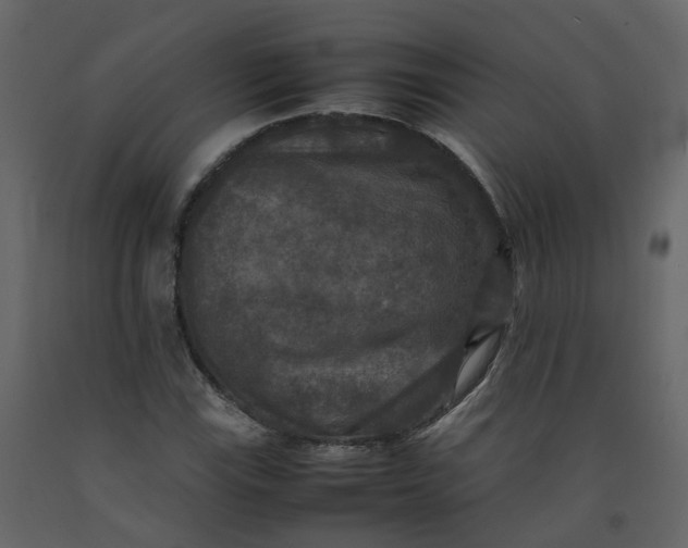 X0000092251115200710051253