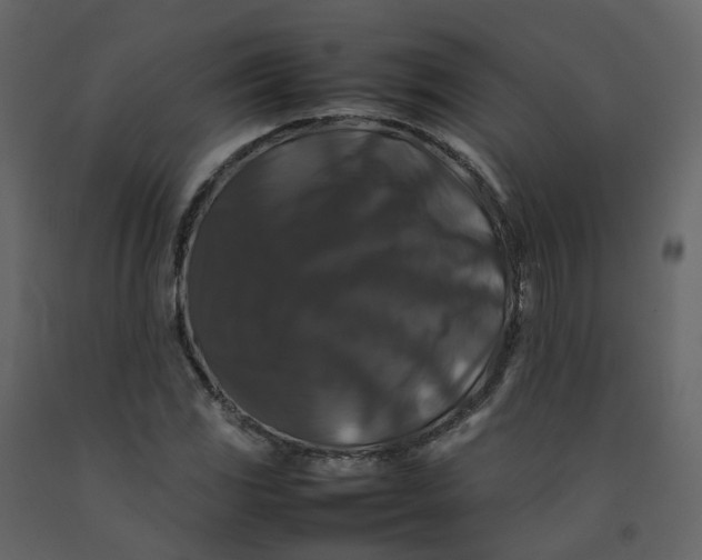 X0000092251117200710051253