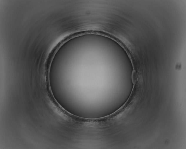 X0000092251118200710051253