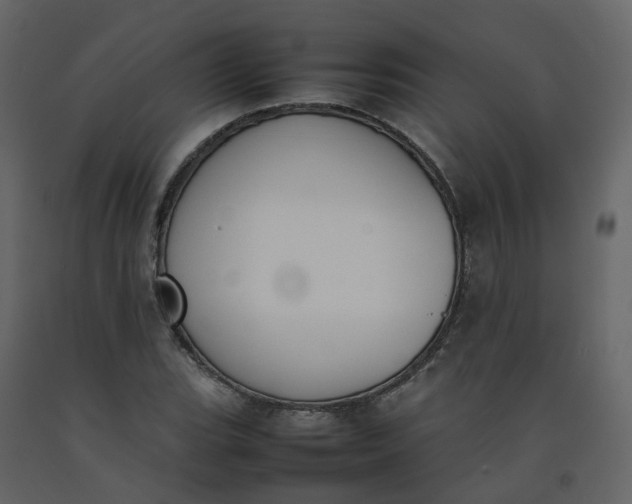 X0000092251119200710051253