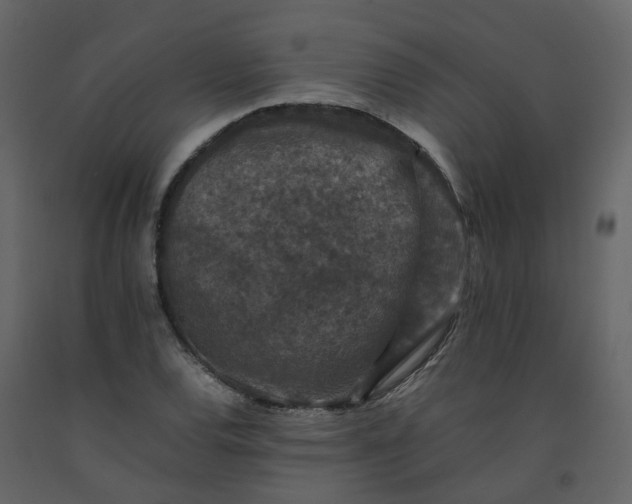 X0000092251120200710051253