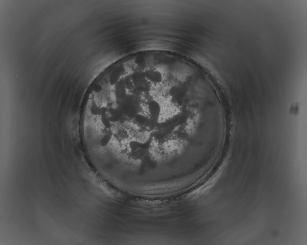 X0000092251121200710051253