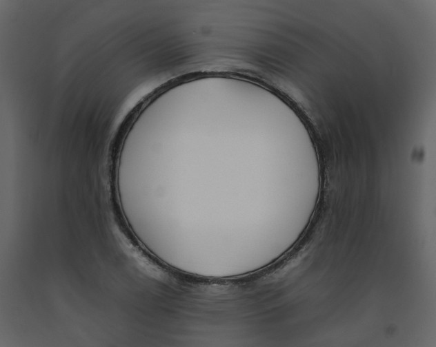 X0000092251122200710051253