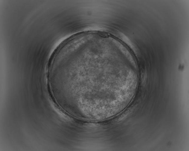 X0000092251124200710051253