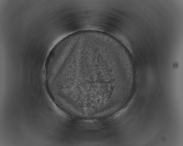 X0000092251125200710051253