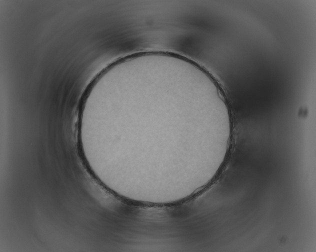 X0000092251126200710051253