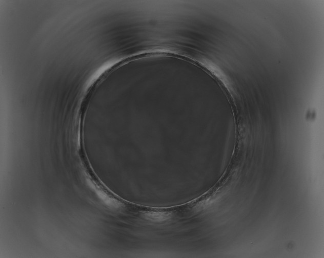 X0000092251127200710051253