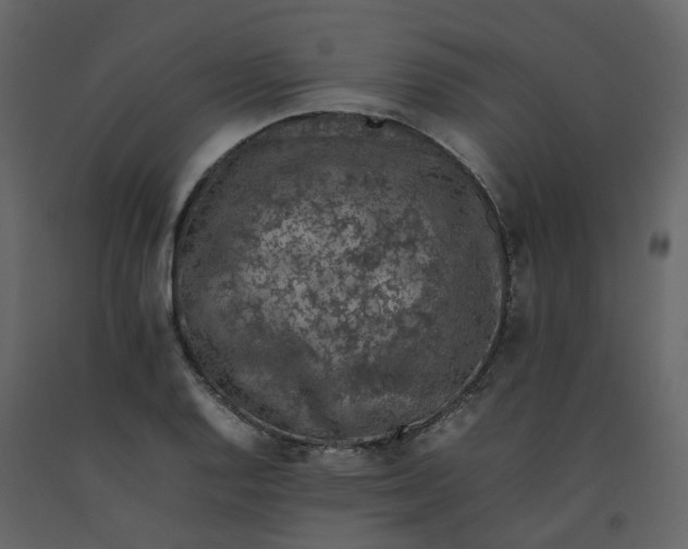 X0000092251128200710051253