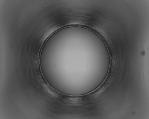 X0000092251129200710051253