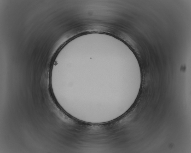 X0000092251130200710051253