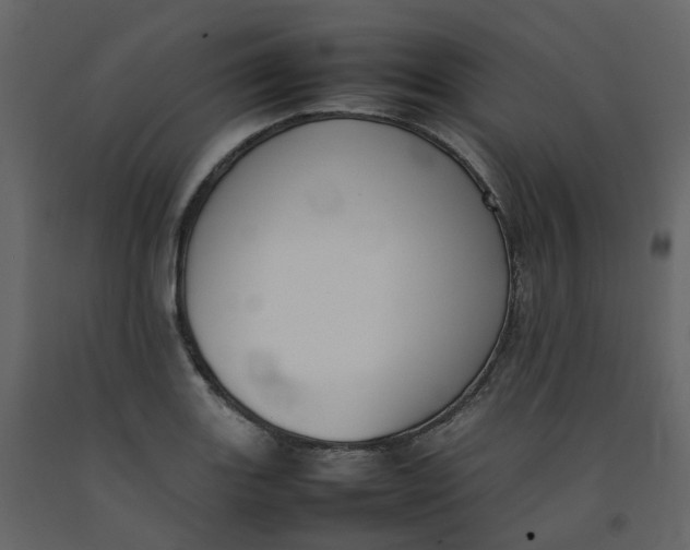 X0000092251131200710051253