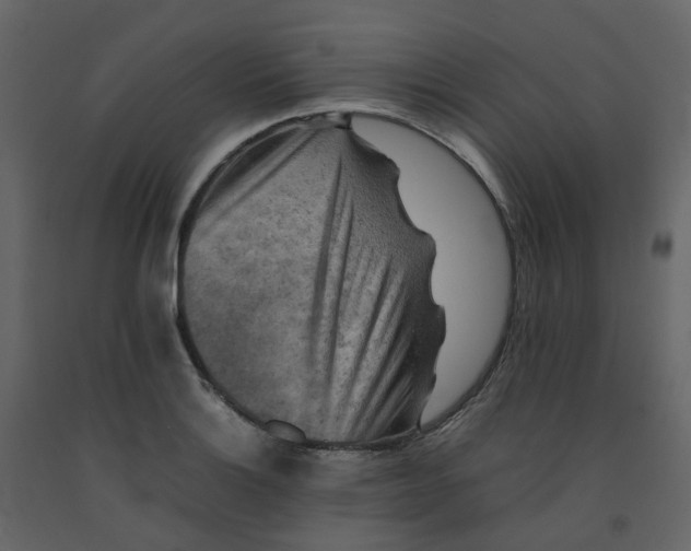 X0000092251132200710051253