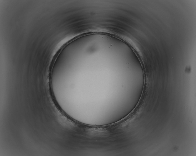 X0000092251133200710051253