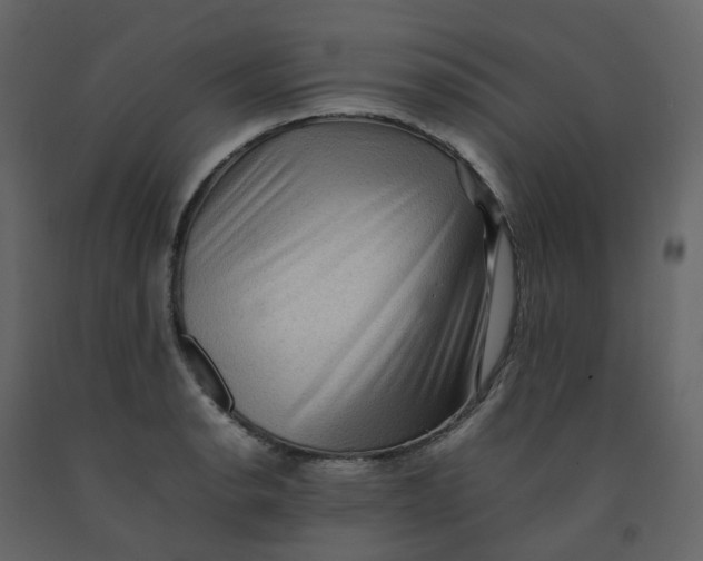 X0000092251134200710051253