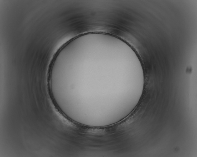 X0000092251135200710051253