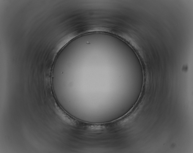 X0000092251137200710051253