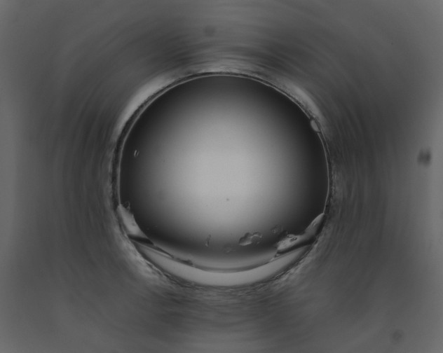 X0000092251138200710051253