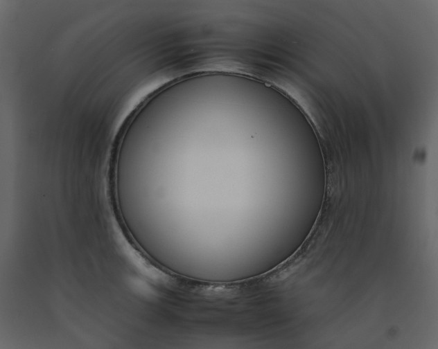 X0000092251139200710051253