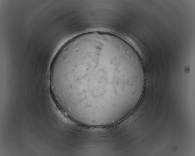 X0000092251140200710051253