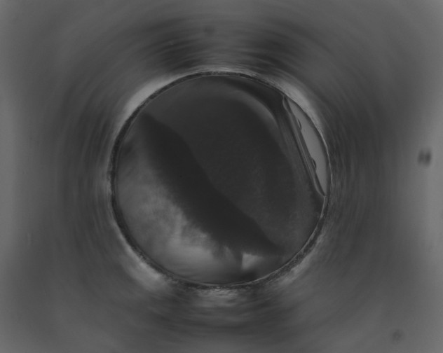 X0000092251141200710051253