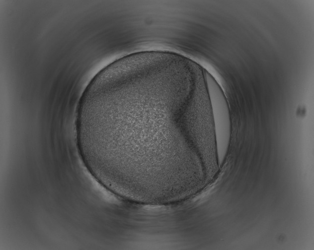 X0000092251142200710051253