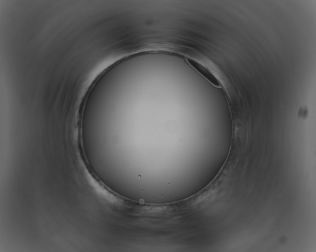 X0000092251143200710051253