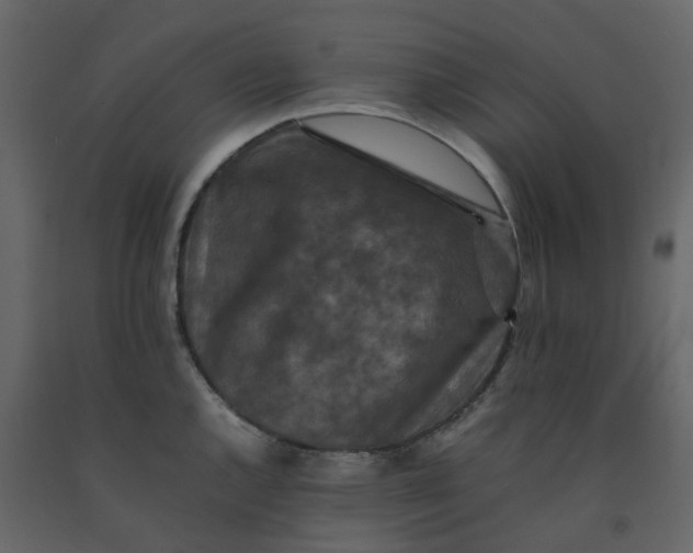 X0000092251144200710051253