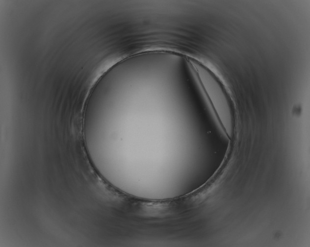 X0000092251145200710051253