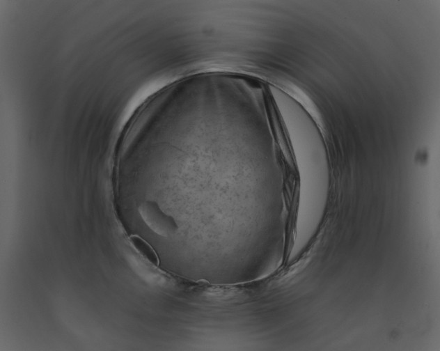 X0000092251146200710051253